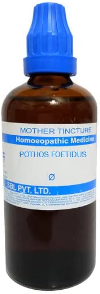 pothos homeopathic medicine Buy SBL Pothos Foetidus Q Mother Tincture