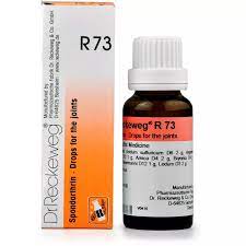 Dr. Reckeweg R73 (Spondarthrin) (22ml)