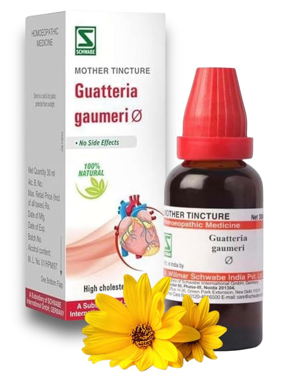 WSI Guatteria Gaumeri Q - 30ml || Homeopathic Mother TIncture