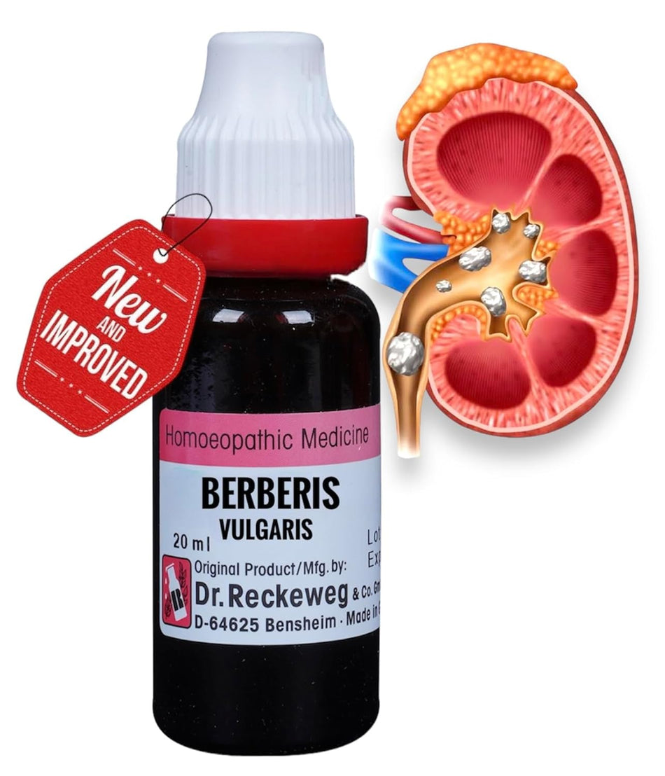 Dr Reckeweg Berberis Vulgaris Q - 20ml || German Homeopathic Mother Tincture