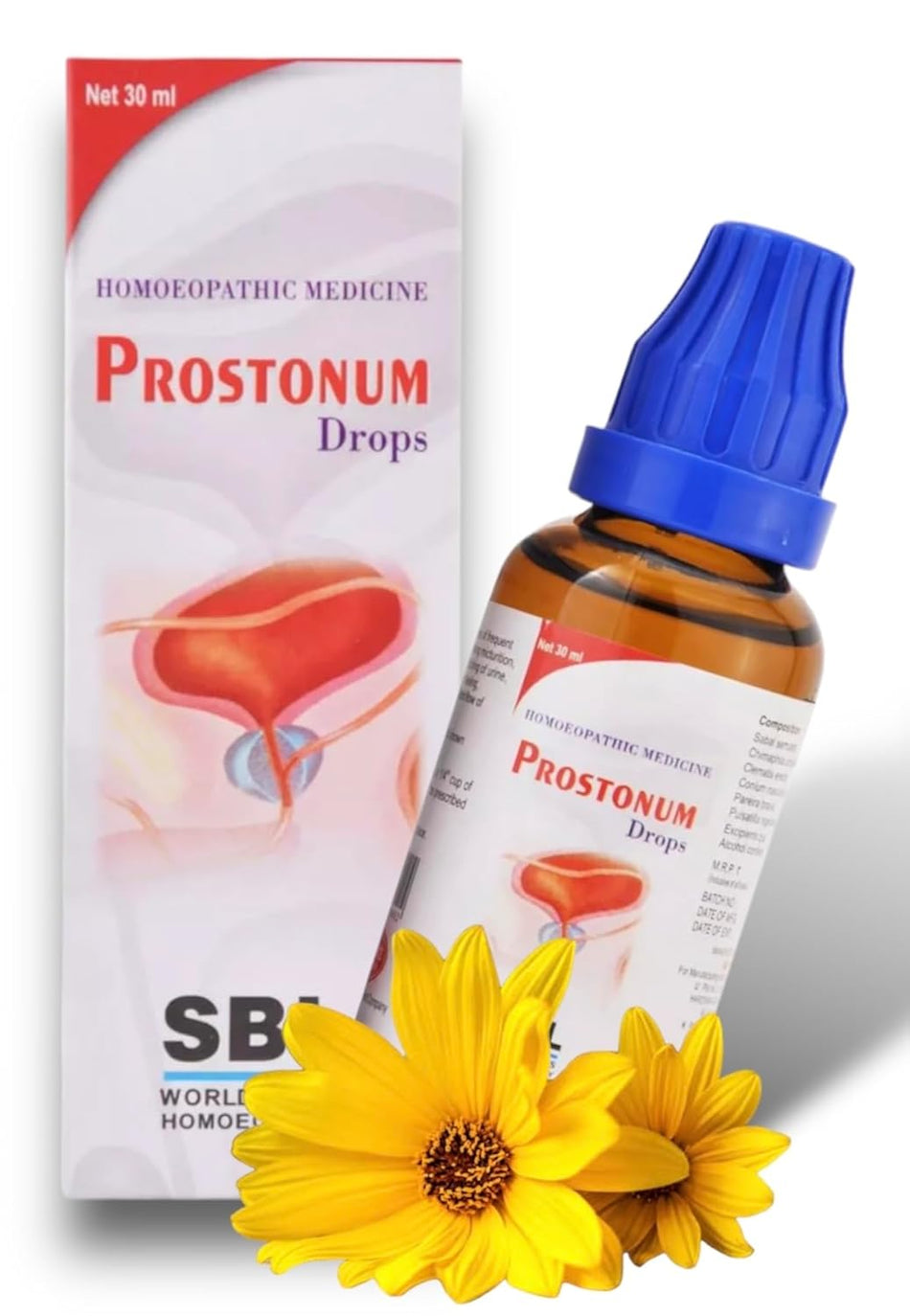 SBL Prostonum Drop (30ml) || Homeopathic Medicine