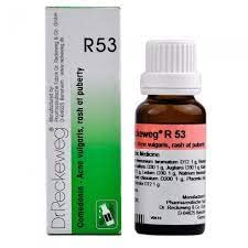Dr. Reckeweg R53 Drop - 22ml