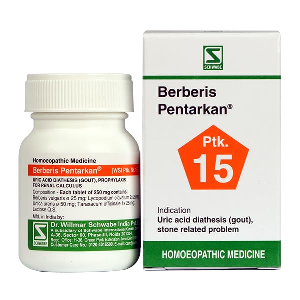 WSI Berberis Pentarkan Tablet - 20g