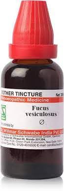 WSI Fucus Vesiculosus Q - 30ml