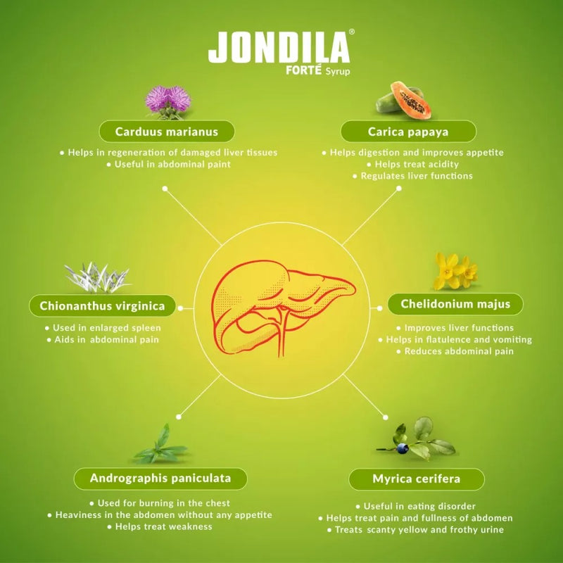 Medisynth Jondila SF Syrup (200ml)