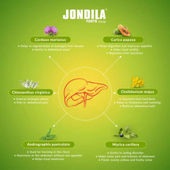 Medisynth Jondila SF Syrup (200ml)