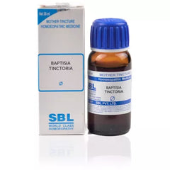 Baptisia Tinctoria 1X (Q) (30ml)