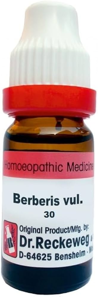 Dr R/W Berberis Vulgaris 30 CH (11ml)