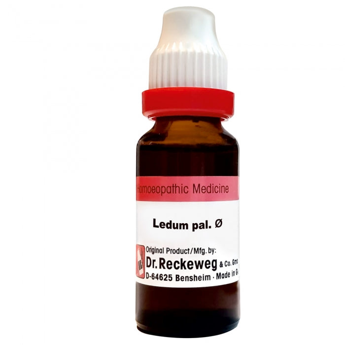 Dr R/W Ledum Pal Q (20ml)