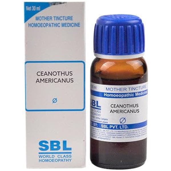 SBL Ceanothus Americanus Q - 30ml