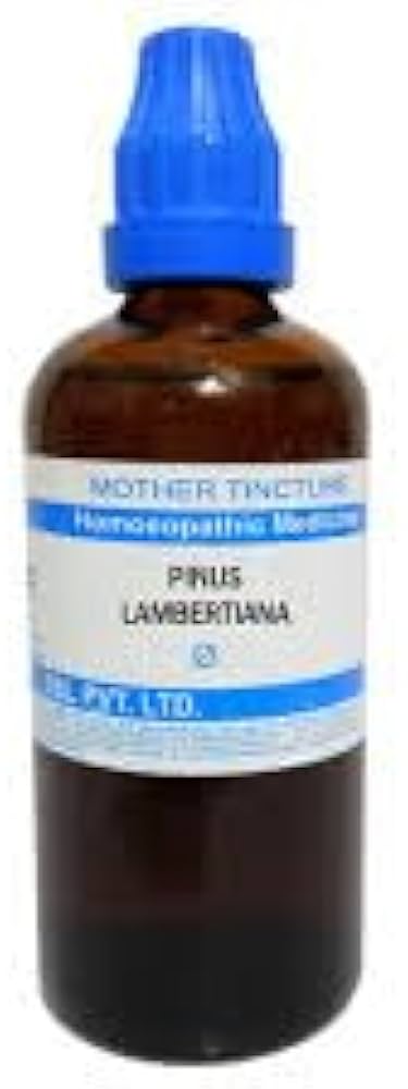 SBL Pinus Lambertiana Q - 100ml