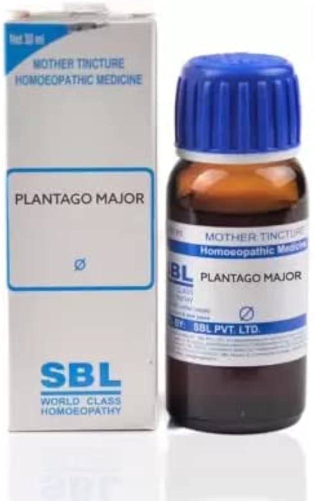 SBL Plantago Major Q - 30ml