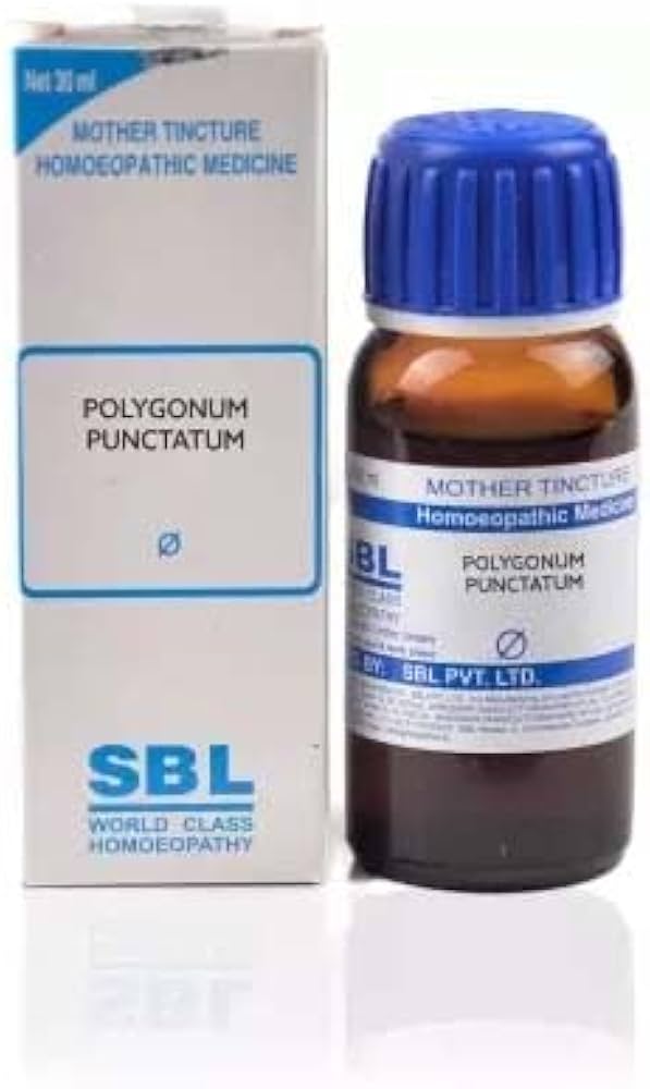 SBL Polygonum Punctatum Q - 30ml