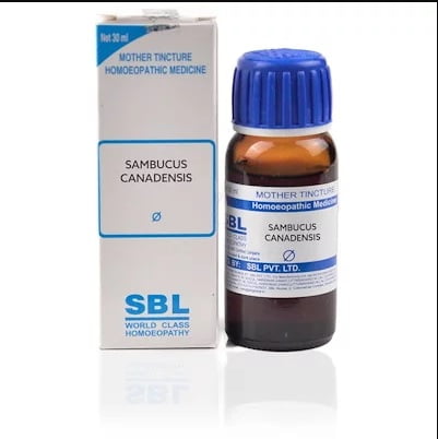 SBL Sambucus Canadensis Q - 30ml