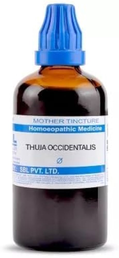 SBL Thuja Occidentalis Q - 100ml