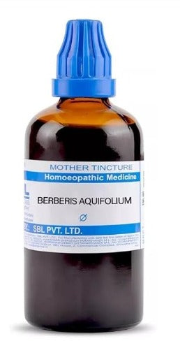 SBL Berberis Aquifolium Q (100 ml) – Homeopathic Skin & Liver Support Tonic