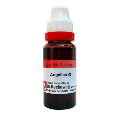 Dr. Reckeweg Angelica Archangelica Q (MT) - 20ml