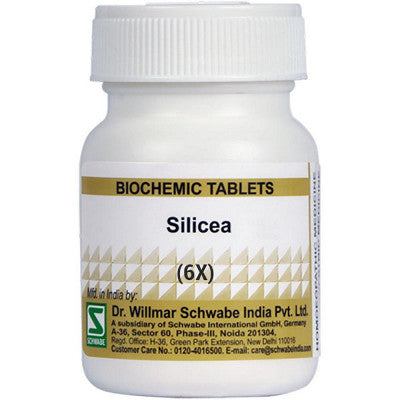 Willmar Schwabe India Silicea 6X (20g)